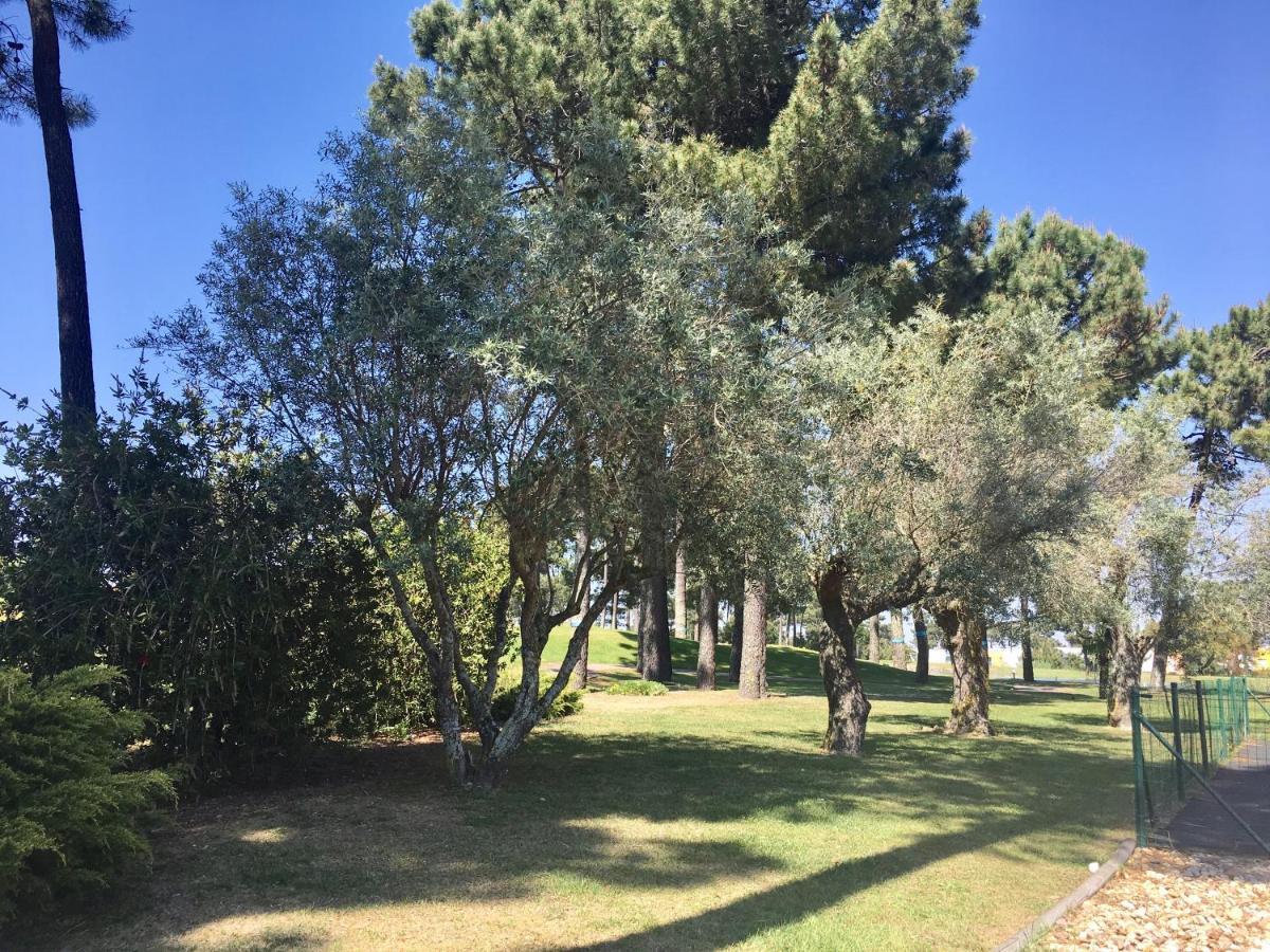 Sr Palmela Village Studios II Quinta do Anjo Εξωτερικό φωτογραφία